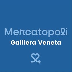 Mercatopoli Galliera Veneta (Negozio dell' usato)