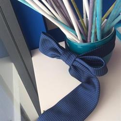 Mancini Laundry Dolphin