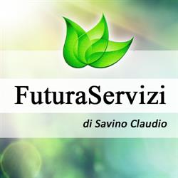 Impresa di Pulizie Futura