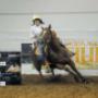 Il Ranch
