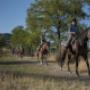 Il Ranch