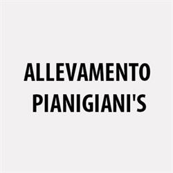 Allevamento Pianigiani'S