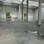 Gallery Professionale