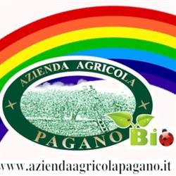 Azienda Agricola Pagano