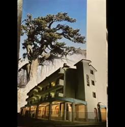 Hotel Pino Loricato