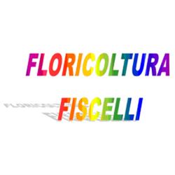 Floricoltura Fiscelli