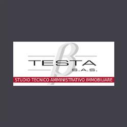 Testa