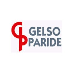 Impianti Elettrici Gelso Paride