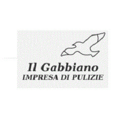 Il Gabbiano