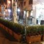 Bar Jolly