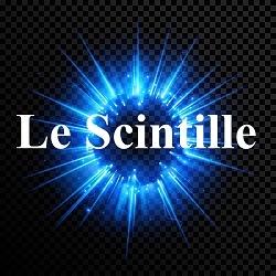 Impresa di Pulizie Le Scintille