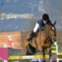 Associazione Ippica