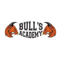 Bull'S Academy