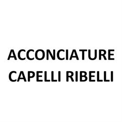 Acconciature Capelli Ri...Belli...