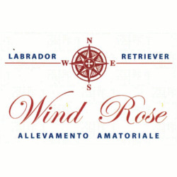 Allevamenti Windrose