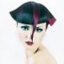 Polverini_Hair