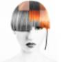 Polverini_Hair