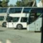 Noleggio Autobus