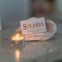 Gallery Professionale