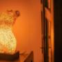Gallery Professionale