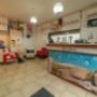 Gallery Professionale
