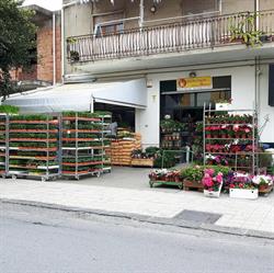 Oltrenatura Lucca Giuseppe