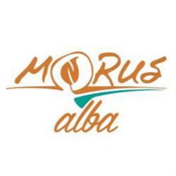 Morus Alba Wine Bar