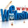 Top City Service di Vitale Luca