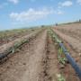 Irrisystem S.r.l.