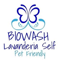 Lavanderia Biowash