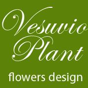 Vesuvio Plant