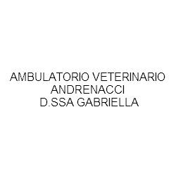 Ambulatorio Veterinario Dr.ssa  Andrenacci Gabriella