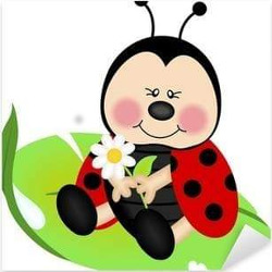 La Coccinella di Garofalo Gaetano