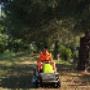 Giardinaggio Cisa Lavori