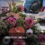 Gallery Professionale