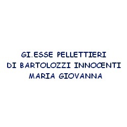Gi.Esse Pellettieri