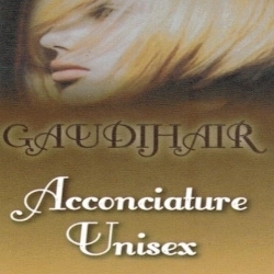 Parrucchiere Gaudi Hair