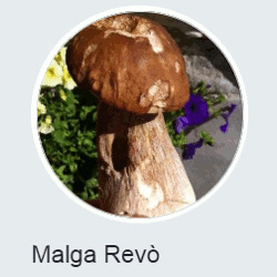 Malga Revó