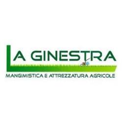 La Ginestra - Borzì Antonino