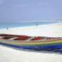 Mare