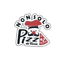 Non Solo Pizza da Ciccio
