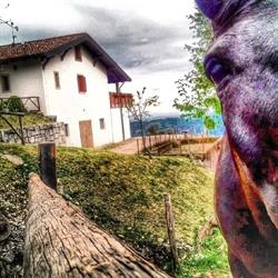 Agriturismo Verde Friuli
