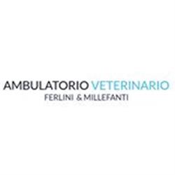 Ambulatorio Veterinario Ferlini e Millefanti