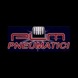 Plm Pneumatici
