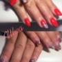 Gallery Cliente