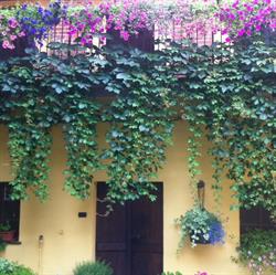 Ristorante dal Duca