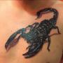 Tatuaggi