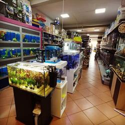 Discount Animali