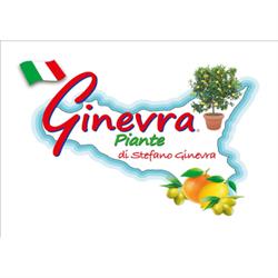 Ginevra Piante