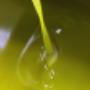 olio Extravergine di oliva